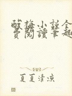 酸梅小说全文免费阅读笔趣阁