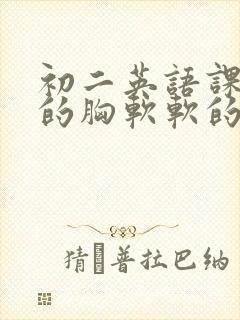 初二英语课代表的胸软软的