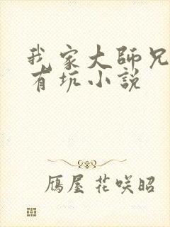 我家大师兄脑子有坑小说