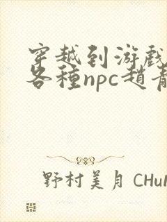 穿越到游戏里和各种npc赵青蔓