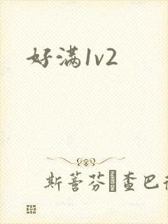 好满1v2