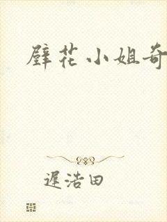 壁花小姐奇遇记封面