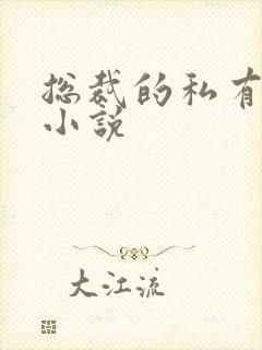 总裁的私有宝贝小说