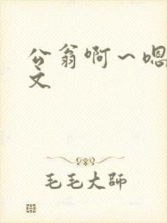公翁啊～嗯啊h文