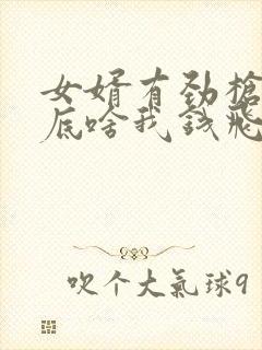 女婿有劲枪枪到底啥我钱飞了封面