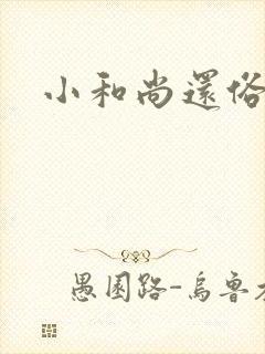 小和尚还俗记封面