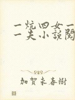 一炕四女一共侍一夫小说阅读