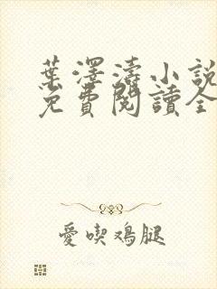 叶泽涛小说全文免费阅读全文