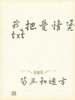 我把爱情煲成汤txt