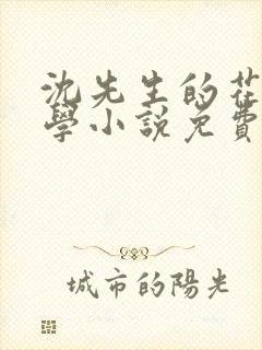 沈先生的花式教学小说免费