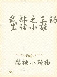 武林之王的退隐生活小说