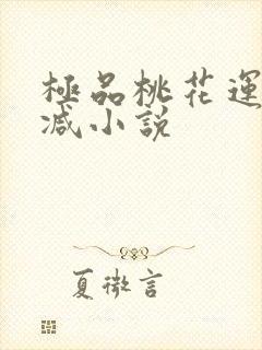 极品桃花运未删减小说封面