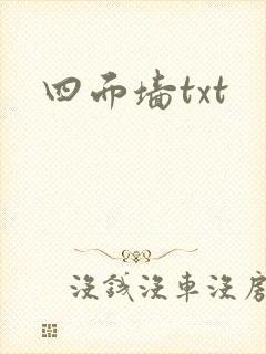 四面墙txt