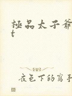 极品太子爷txt封面