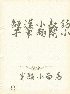 糙汉小叔的娇嫂子笔趣阁小说封面