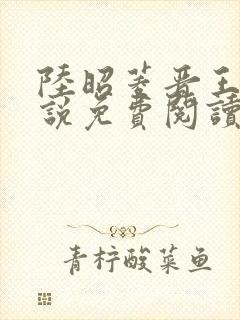 陆昭菱晋王的小说免费阅读