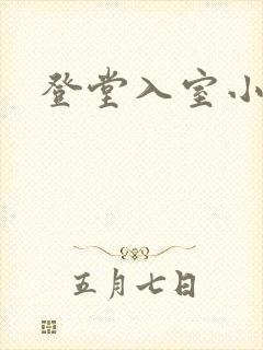 登堂入室小说封面
