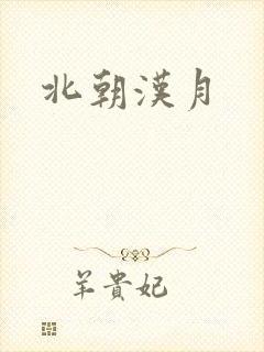 北朝汉月