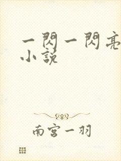 一闪一闪亮星星小说