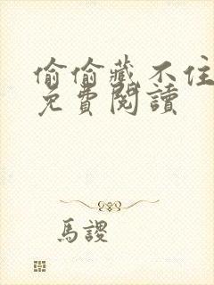 偷偷藏不住小说免费阅读封面