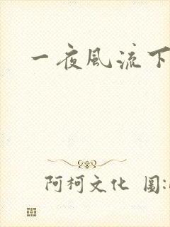 一夜风流下载封面