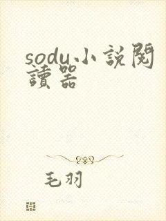 sodu小说阅读器