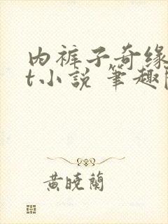 内裤子奇缘txt小说 笔趣阁