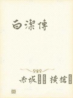 白洁传封面