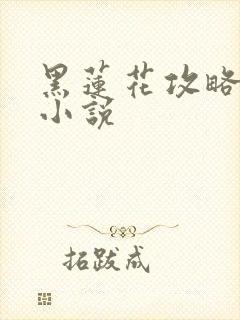 黑莲花攻略手册小说