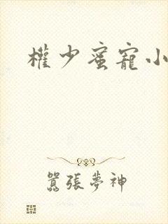 权少蜜宠小娇妻