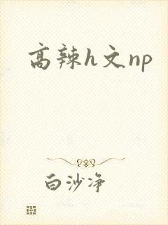 高辣h文np