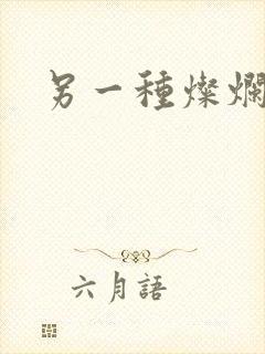 另一种灿烂生活