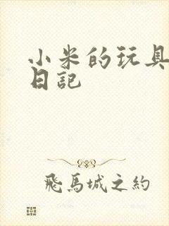 小米的玩具羞辱日记