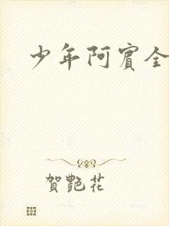 少年阿宾全集封面