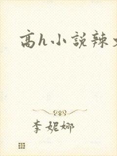 高h小说辣文封面