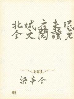 北城夜未眠小说全文阅读免费封面