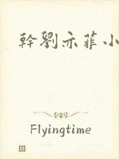 干刘亦菲小说封面