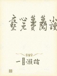 夜心万万小说完整免费阅读全文