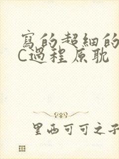 写的超细的多肉C过程原耽