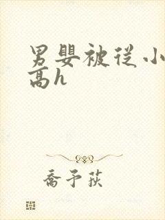 男婴被从小调教高h封面