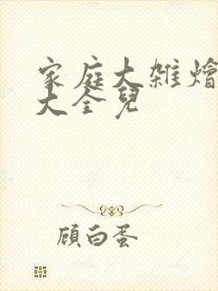 家庭大杂烩小说大全儿