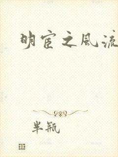 明宦之风流无边封面