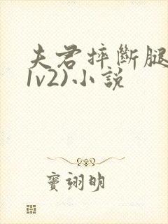 夫君摔断腿后(1v2)小说