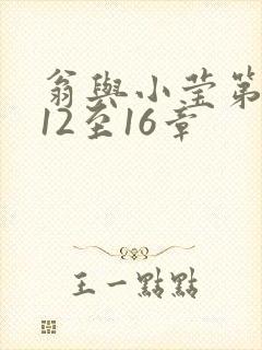 翁与小莹第十部12至16章封面