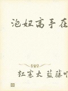 泡妞高手在都市封面