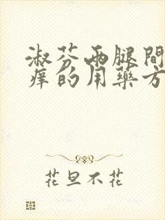 淑芬两腿间又痒痒的用药方法封面