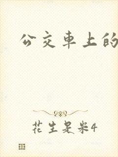 公交车上的诗晴封面