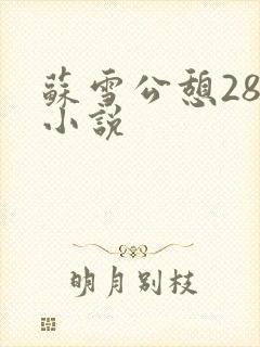 苏雪公憩28篇小说