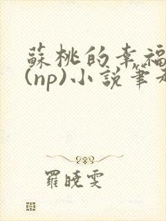 苏桃的幸福生活(np)小说笔趣阁沐沐