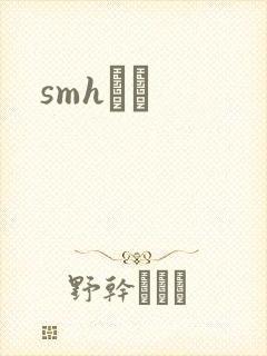 smhС˵